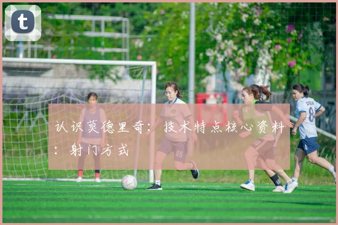 认识莫德里奇：技术特点核心资料：射门方式