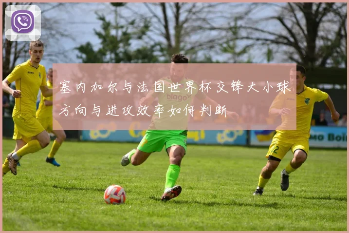 塞内加尔与法国世界杯交锋大小球方向与进攻效率如何判断